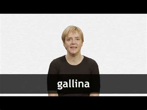 English Translation of “GALLINA” | Collins Spanish-English Dictionary