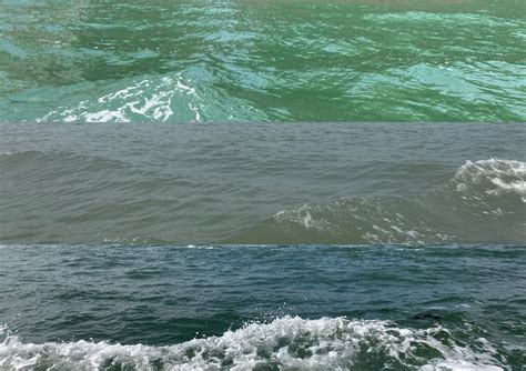 aticesalamander  tumblr