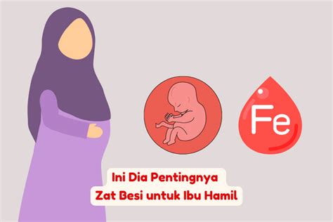 Ini Dia Pentingnya Zat Besi Untuk Ibu Hamil