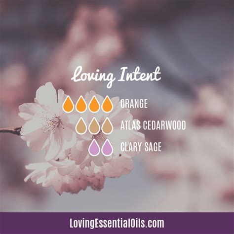 Clary Sage Diffuser Blends - 10 Euphoric Essential Oil Recipes – Loving ...