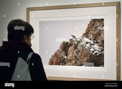 Exclusif Vincent Munier Un Des Plus Grands Photographes De La Faune