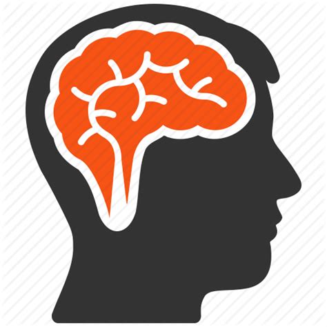 Thinking Brain Png Hd Transparent Thinking Brain Hd Png Images Pluspng