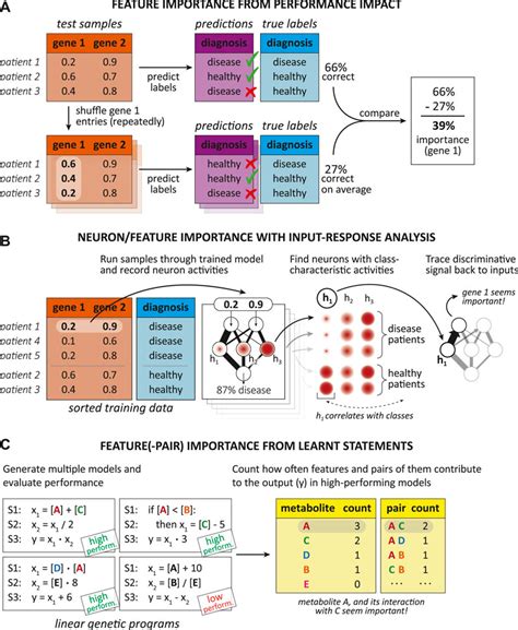 Frontiers Interpretable Machine Learning Methods For Predictions In