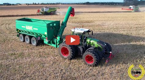 Agrar Paparazzi Rapsernte 2023 Mit Gleich 3 Claas Lexion 770 TT Mit