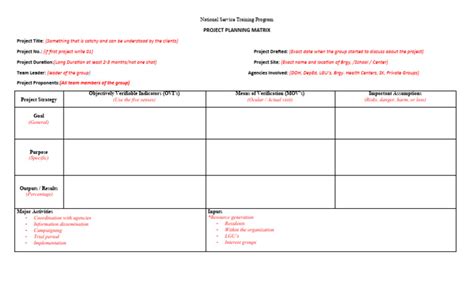 Project Plan Matrix | PDF