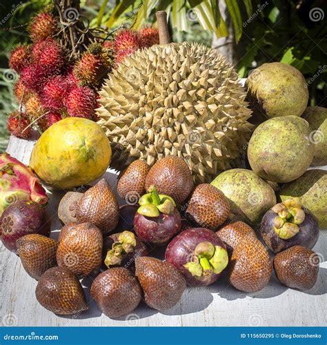 Assortment Of Tropical Fruits In Island Bali Indonesia Stock Image Image Of Durian