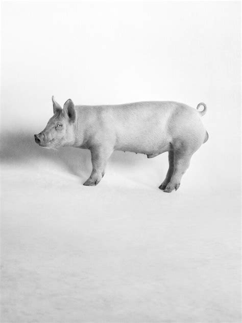 The Big Nudes by Heji Shin | AnOther