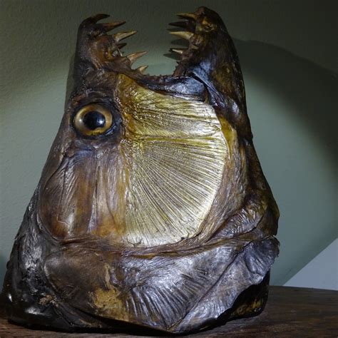 Proantic Fearsome Goliath Fish