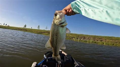 Short Evening Of Kayak Bass Fishing Bass Manager The Best Bass