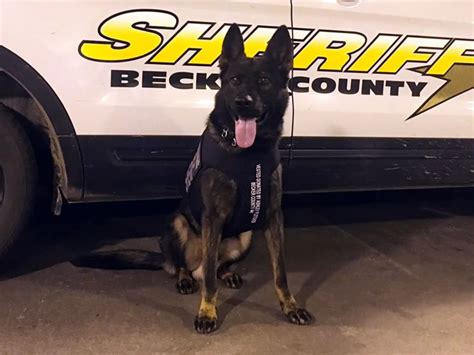 K9 Locates 2 Suspects Involved In Burglary Police Chase Bring Me The