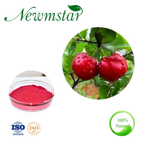 Acerola Cherry Extract Malpighia Glabra Extract Malpighia Urens