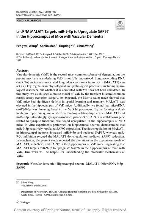 Lncrna Malat Targets Mir P To Upregulate Sap In The Hippocampus