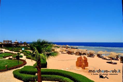 Cosa Fare A Sharm El Sheikh Le Migliori Attivit E Escursioni