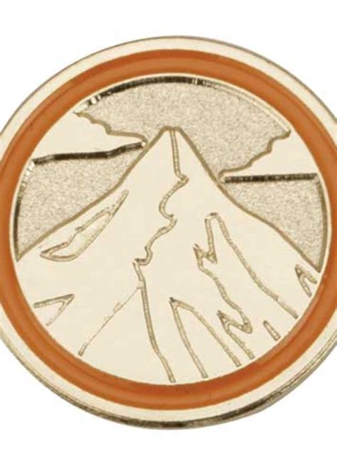 Senior Summit Journey Pin Girl Scouts Of Middle Tennesee