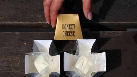 Pule Cheese: Unraveling the world's most expensive cheese | Fox News