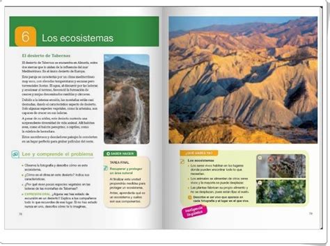 Unidad 6 de Ciencias de la Naturaleza de 4º de Primaria Los