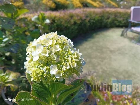 Review Kamera Infinix Hot G Ternyata Kayak Gini Hasil Fotonya Tuxlin Blog