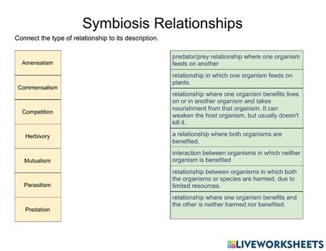 Symbiosis Relationships Worksheet