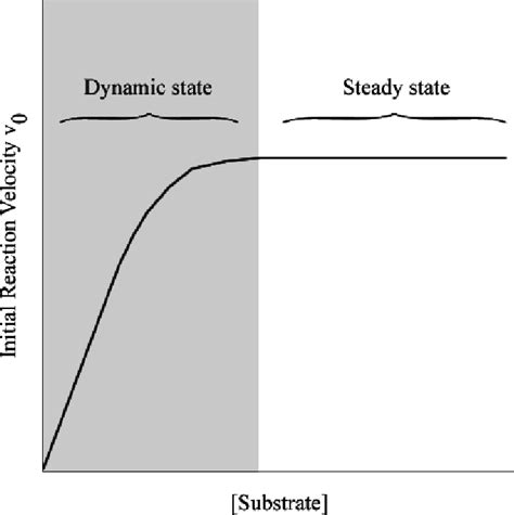 Two States Of Metabolism Dynamic State Vs Steady State Download