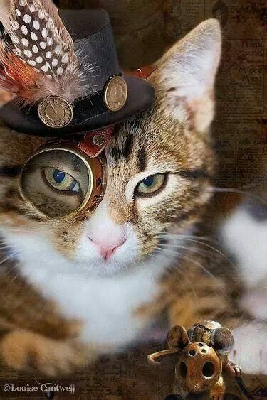 Просто воскресная подборка стимпанк-котиков ^_^ #steampunk #стимпанк # ...