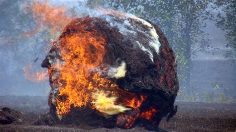 Tips On Keeping Your Hay From Going Up In Smoke North Carolina