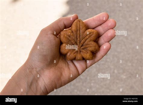 Momiji Manju Maple Leaf Shaped Cake In A Palms Hand Miyajima