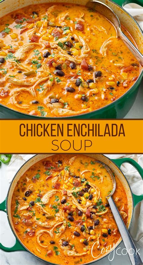 Chicken Enchilada Soup - The Cozy Cook