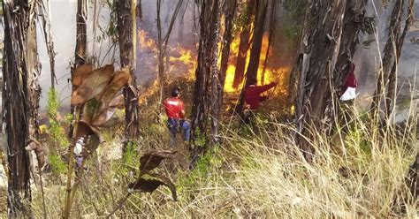 Incendio Forestal Activo Daña Pastos Naturales Y Cultivos En Áncash