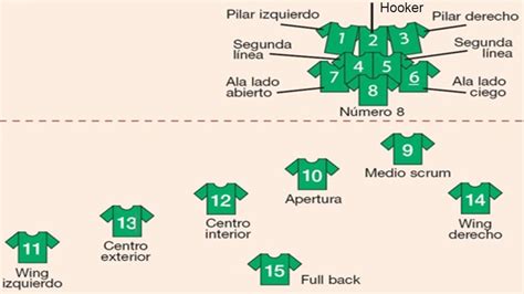 Reglamento Del Rugby Reglas Básicas Puntuación Y Posiciones