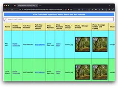 HTML Table Template With All Features download | SourceForge.net