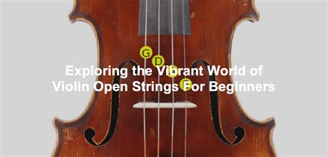 Exploring The Violin Open Strings For Beginners