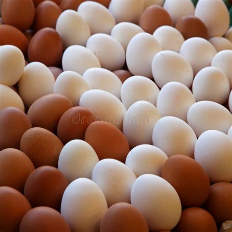 Raw chicken eggs stock photo. Image of beige, chicken - 29895248