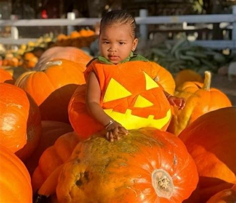 Kardashian Jenner Clan Pumpkin Pumpkins Squash