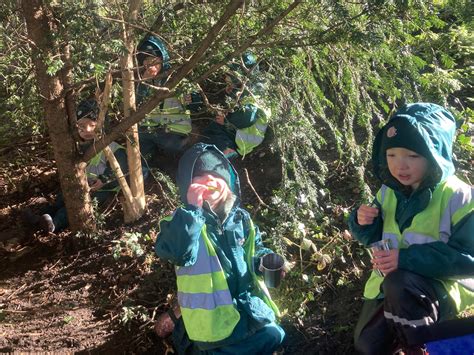 Forest Walks Greenwood Twickenham Nursery School