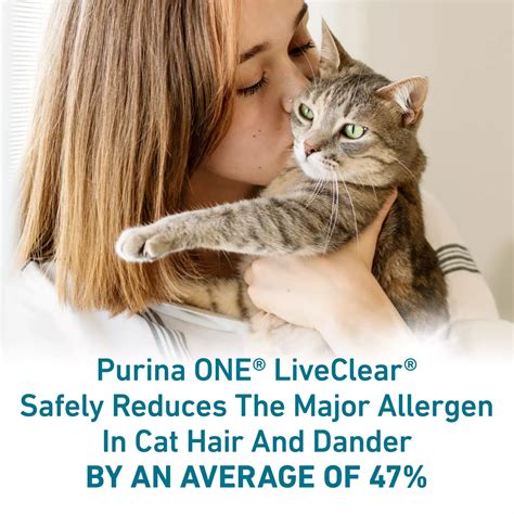 Purina ONE Live Clear Adult Dry Cat Food - Chicken - Shop Food at H-E-B