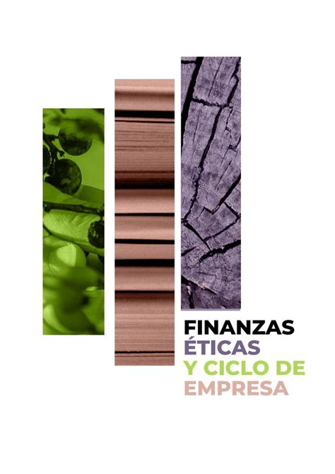 Promoci N De La Econom A Social Y Solidaria Y Las Finanzas Ticas