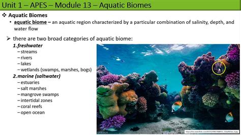 APES Unit 1 Module 13 Aquatic Biomes