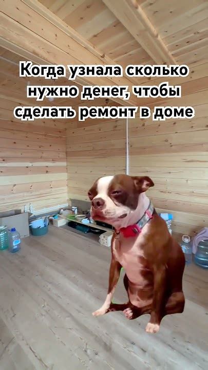 Шик Шак Шок цены - YouTube