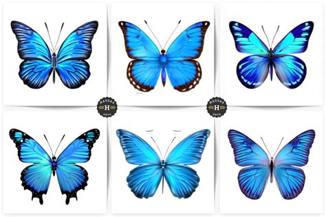 Butterfly Collection Graphic By Hassas Arts Creative Fabrica