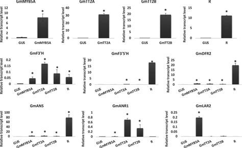 Qrt‐pcr Analysis Of Transcript Levels Of Genes Involved In Soybean Pa