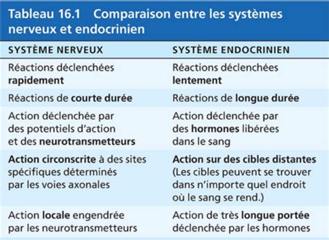 Caract Ristiques G N Rales Du Syst Me Endocrinien Flashcards Quizlet