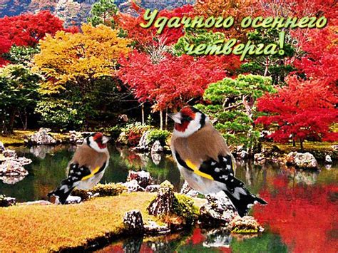 Самые классные открытки . | Бабье лето, Открытки, Осень