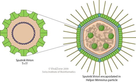 Virus Satellite