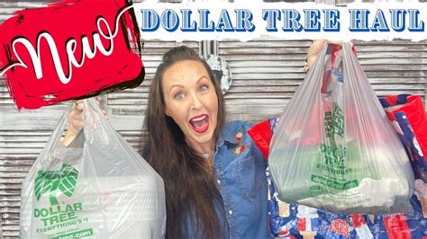 Dollar Tree Hauls 2024 Janna Loraine