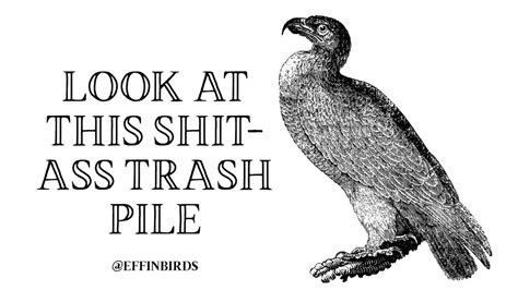 Effin Birds Effinbirds Twitter Work Humor Effin Funny Birds