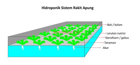 Mengenal Sistem Hidroponik Beserta Cara Kerja Nya Talitakum Indonesia