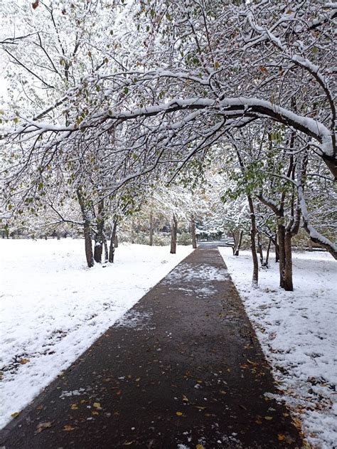 Снежная дорога | Снег, Фоны для студии, Дизайн фона