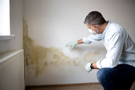 10 Common Warning Signs Of Mold In Your Home