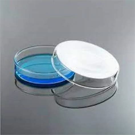 Borosil Cricle Glass Petri Dish X Mm For Chemical Laboratory At