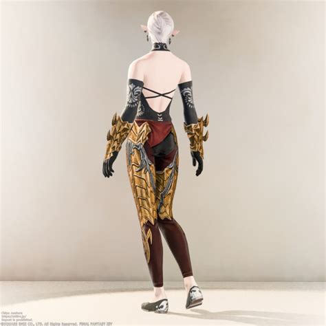 ヴァートゥ・カオスキュイラス｜【ff14 装備手帳】
